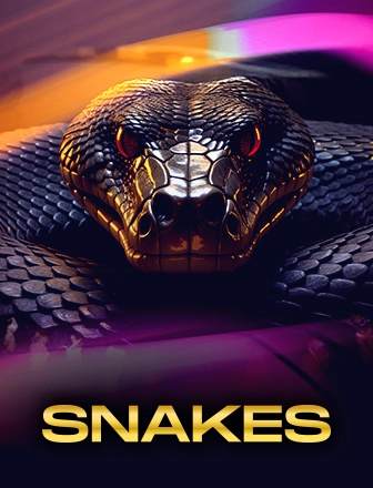 3-SNAKES-winadaa